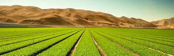 Teremtsük meg együtt az éhező országok élelmezéséhez szükséges mezőgazdasági forrásokat!